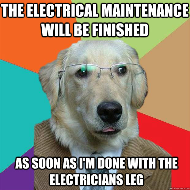 The electrical maintenance will be finished As soon as I'm done with the electricians leg  Business Dog