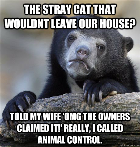 The stray cat that wouldnt leave our house? Told my wife 'OMG the owners claimed it!' Really, I called Animal Control.   Confession Bear