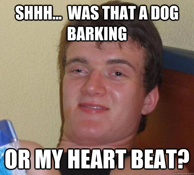 Shhh...  was that a dog barking  or my heart beat? - Shhh...  was that a dog barking  or my heart beat?  10 Guy