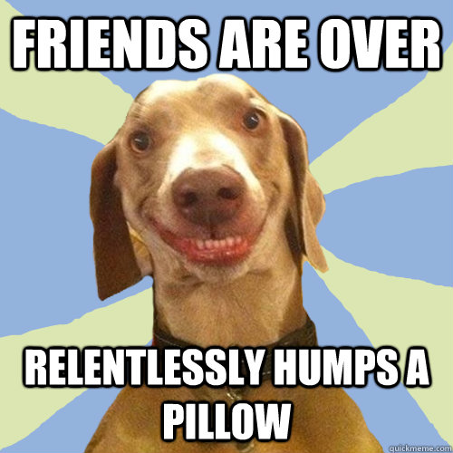 friends are over relentlessly humps a pillow  Disgusting Doggy