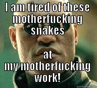 I AM TIRED OF THESE MOTHERFUCKING SNAKES AT MY MOTHERFUCKING WORK! Matrix Morpheus