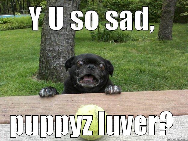 Y U SO SAD, PUPPYZ LUVER? Berks Dog