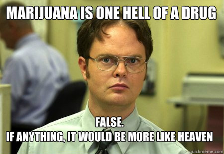 Marijuana is one hell of a drug False.
If anything, it would be more like heaven  Schrute