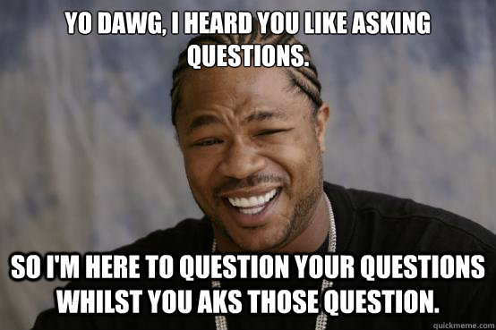 YO DAWG, I heard you like asking questions. So i'm here to question your questions whilst you aks those question.  YO DAWG