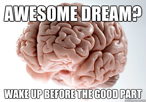 Awesome dream? Wake up before the good part  Scumbag Brain