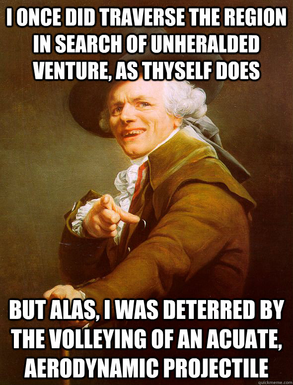 I once did traverse the region in search of unheralded venture, as thyself does but alas, I was deterred by the volleying of an acuate, aerodynamic projectile   Joseph Ducreux