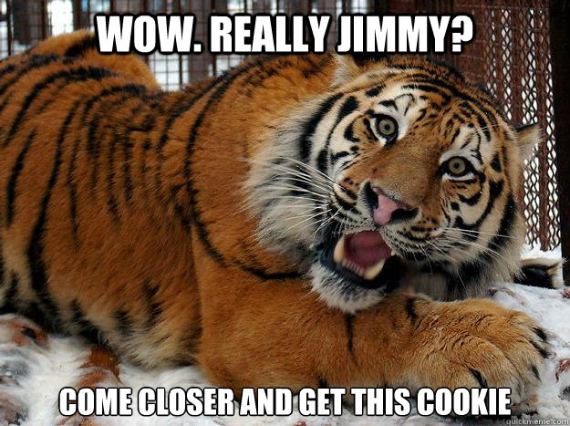 Wow. Really Jimmy? Come closer and get this cookie   Fascinated Tiger