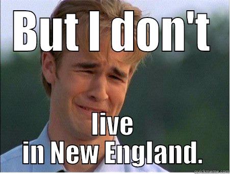 BUT I DON'T LIVE IN NEW ENGLAND. 1990s Problems