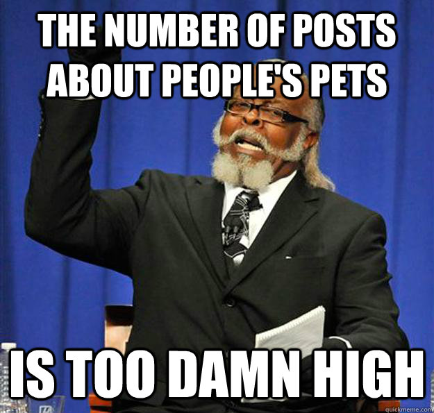 The number of posts about people's pets Is too damn high  Jimmy McMillan