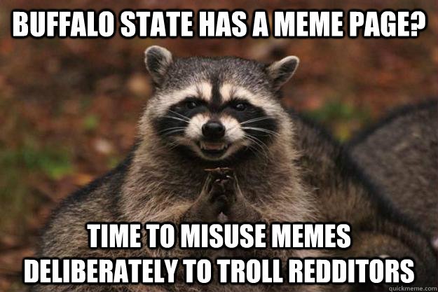 Buffalo State has a meme page? time to misuse memes deliberately to troll redditors - Buffalo State has a meme page? time to misuse memes deliberately to troll redditors  Evil Plotting Raccoon