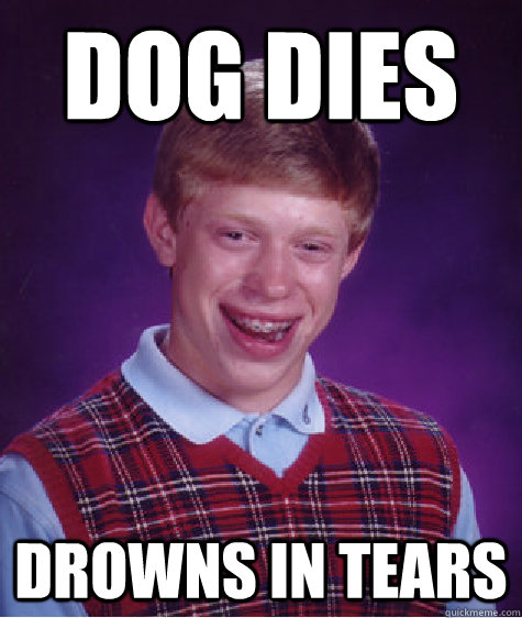 Dog dies Drowns in tears - Dog dies Drowns in tears  Bad Luck Brian