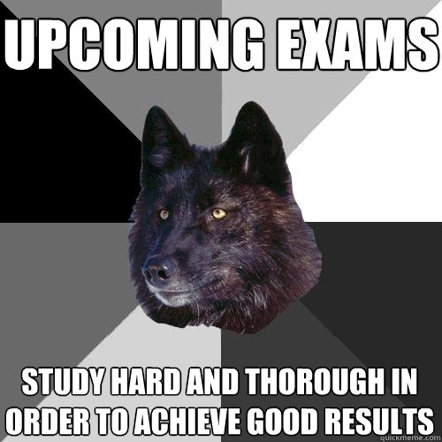 Upcoming exams study hard and thorough in order to achieve good results  Sanity Wolf