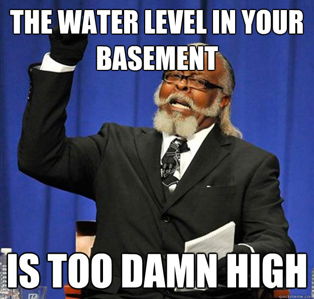 The water level in your basement  Is too damn high  Jimmy McMillan