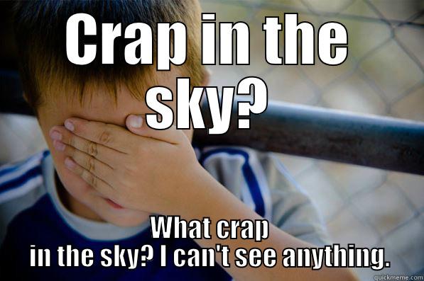 CRAP IN THE SKY? WHAT CRAP IN THE SKY? I CAN'T SEE ANYTHING. Confession kid