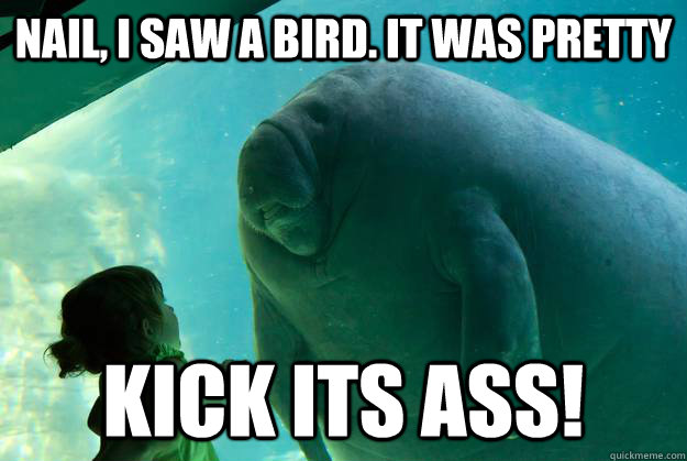 Nail, i saw a bird. It was pretty KICK ITS ASS!  Overlord Manatee