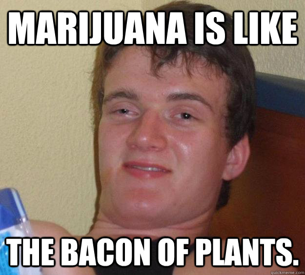 Marijuana is like the bacon of plants.  10 Guy