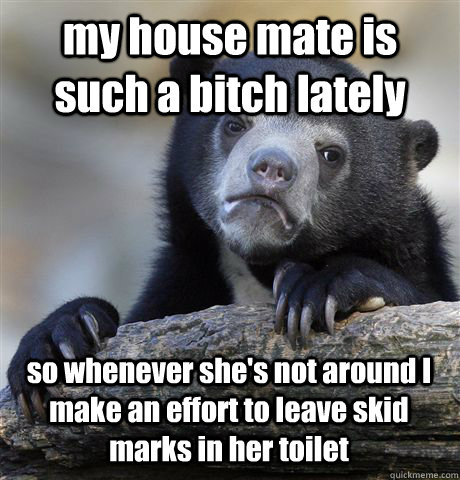 my house mate is such a bitch lately so whenever she's not around I make an effort to leave skid marks in her toilet  Confession Bear