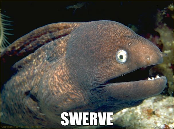  SWERVE  Bad Joke Eel