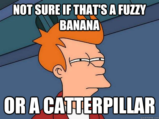 not sure if that's a fuzzy banana Or a catterpillar  Futurama Fry