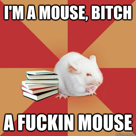 I'm a mouse, bitch A fuckin mouse  Science Major Mouse