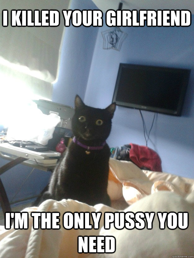 I killed your girlfriend I'm the only pussy you need  overly attached cat