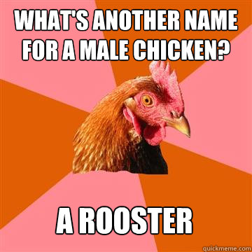 what's another name for a male chicken? a rooster  Anti-Joke Chicken