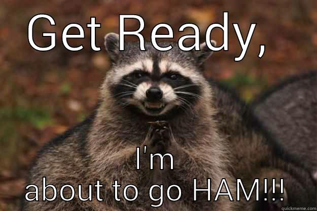 GET READY,  I'M ABOUT TO GO HAM!!! Evil Plotting Raccoon