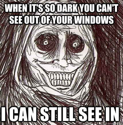 when it's so dark you can't see out of your windows i can still see in - when it's so dark you can't see out of your windows i can still see in  Horrifying Houseguest