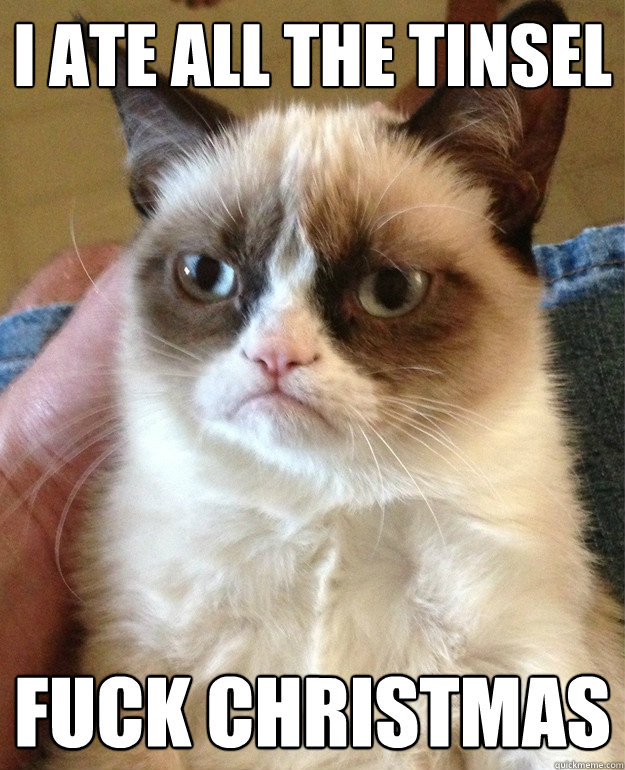 I ate all the tinsel fuck christmas - I ate all the tinsel fuck christmas  Grumpy Cat