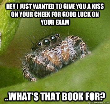 Hey I just wanted to give you a kiss on your cheek for good luck on your exam ..what's that book for?  Misunderstood Spider