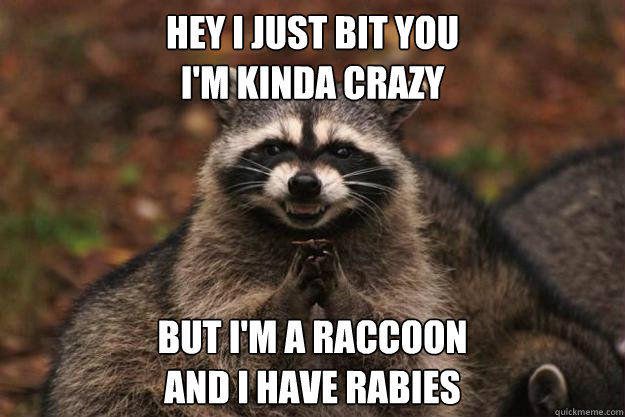 Hey I just bit you
I'm kinda crazy but I'm a Raccoon 
and I have Rabies - Hey I just bit you
I'm kinda crazy but I'm a Raccoon 
and I have Rabies  Evil Plotting Raccoon