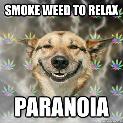 smoke weed to relax paranoia  Stoner Dog