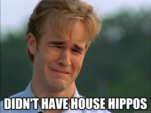  didn't have house hippos  1990s Problems