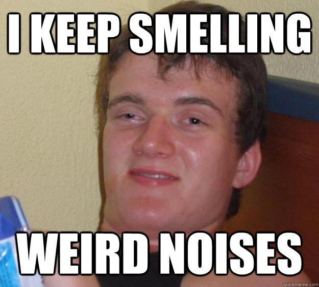 i keep smelling weird noises - i keep smelling weird noises  10 Guy