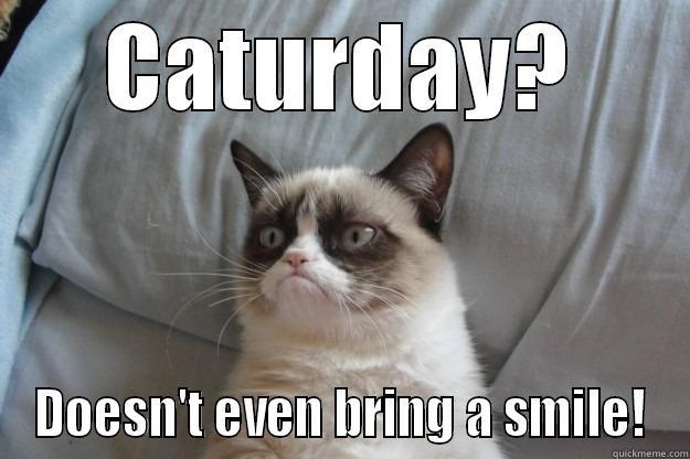 Says Grumpy... - CATURDAY? DOESN'T EVEN BRING A SMILE! Grumpy Cat