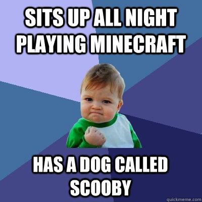 sits up all night playing minecraft has a dog called scooby  Success Kid