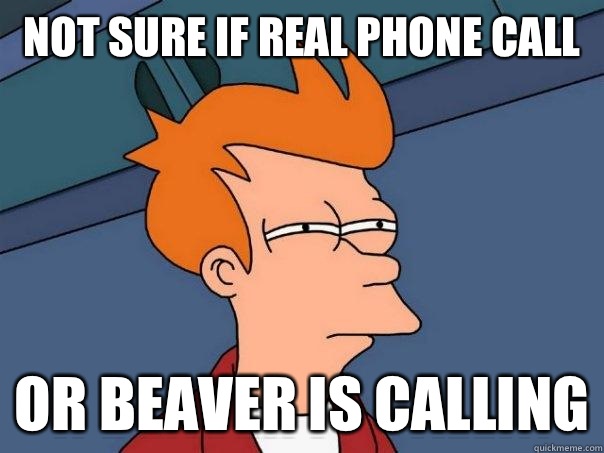 Not sure if real phone call Or beaver is calling  Futurama Fry