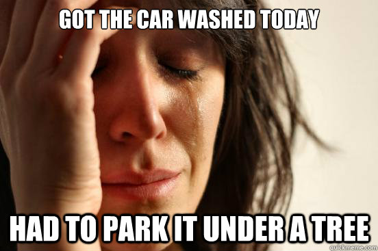 Got the car washed today had to park it under a tree  First World Problems