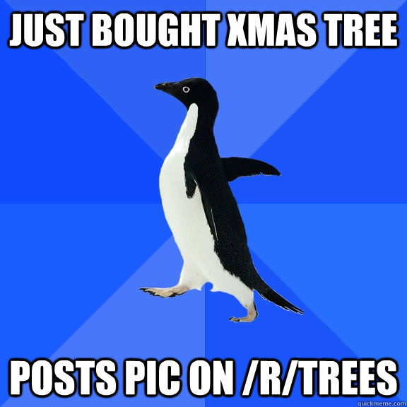 Just bought Xmas tree posts pic on /r/trees - Just bought Xmas tree posts pic on /r/trees  Socially Awkward Penguin