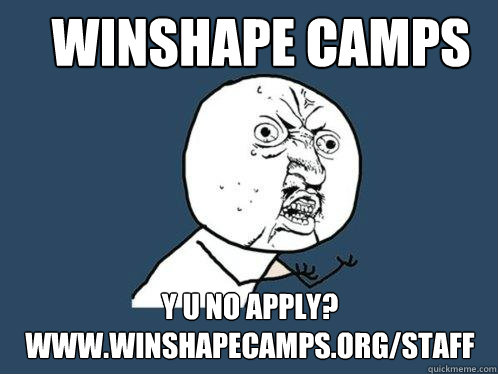 WINSHAPE CAMPS Y U NO APPLY? WWW.WINSHAPECAMPS.ORG/STAFF  Y U No