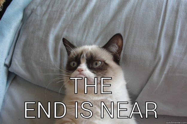  THE END IS NEAR Grumpy Cat