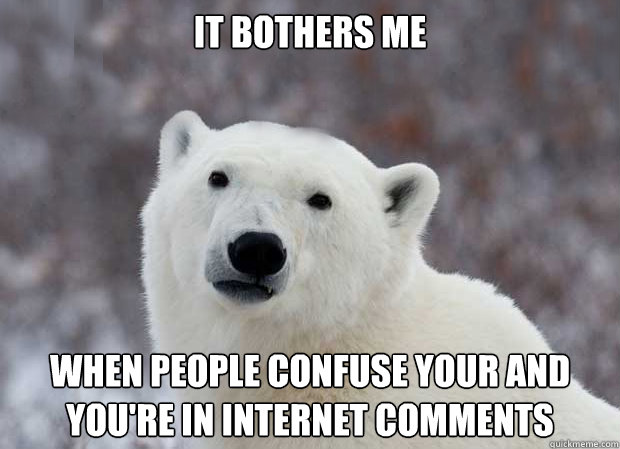 It bothers me when people confuse your and you're in internet comments  Popular Opinion Polar Bear