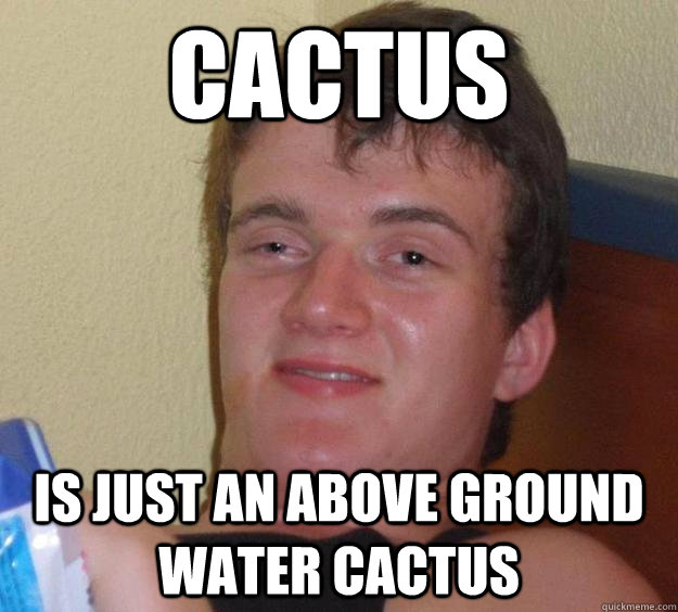 Cactus Is just an above ground water cactus  10 Guy