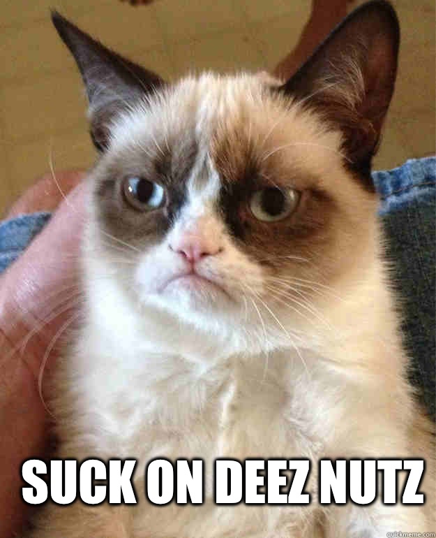  Suck on deez nutz  Grumpy Cat