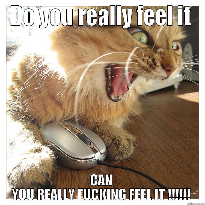 Crazy cat - DO YOU REALLY FEEL IT CAN YOU REALLY FUCKING FEEL IT !!!!!! Misc