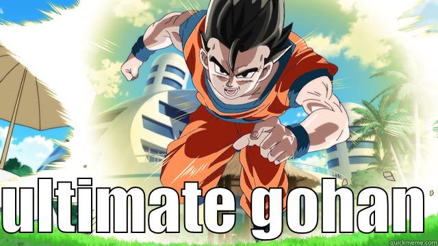   ULTIMATE GOHAN Misc