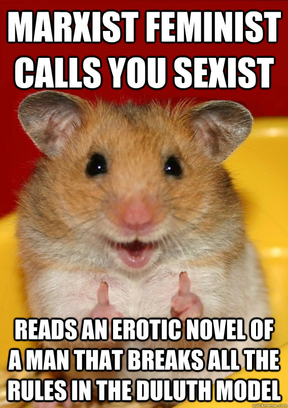 Marxist Feminist calls you sexist Reads an erotic novel of a man that breaks all the Rules in the Duluth MoDEL  Rationalization Hamster