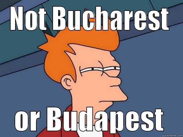 NOT BUCHAREST OR BUDAPEST Futurama Fry