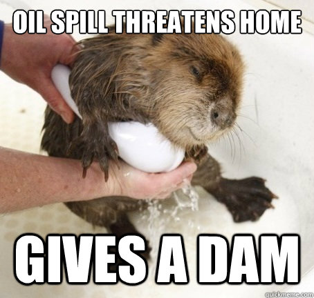 oil spill threatens home gives a dam  