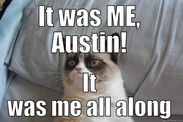 IT WAS ME, AUSTIN! IT WAS ME ALL ALONG Grumpy Cat